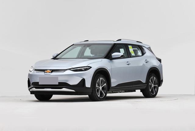 2020е³suv